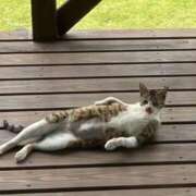 ヒメ日記 2026/03/25 18:20 投稿 麻子 出会い系人妻ネットワーク札幌駅～大通り・すすきの編