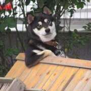 ヒメ日記 2026/03/27 16:03 投稿 麻子 出会い系人妻ネットワーク札幌駅～大通り・すすきの編