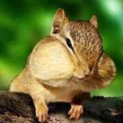 ヒメ日記 2026/03/28 16:12 投稿 麻子 出会い系人妻ネットワーク札幌駅～大通り・すすきの編