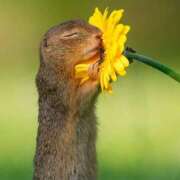 ヒメ日記 2026/03/29 12:21 投稿 麻子 出会い系人妻ネットワーク札幌駅～大通り・すすきの編