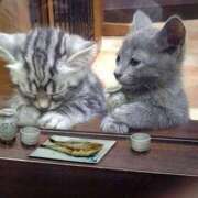 ヒメ日記 2026/03/30 14:03 投稿 麻子 出会い系人妻ネットワーク札幌駅～大通り・すすきの編