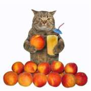 ヒメ日記 2026/03/31 14:03 投稿 麻子 出会い系人妻ネットワーク札幌駅～大通り・すすきの編