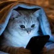 ヒメ日記 2026/04/03 19:49 投稿 麻子 出会い系人妻ネットワーク札幌駅～大通り・すすきの編