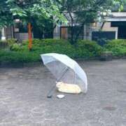 ヒメ日記 2026/04/10 16:42 投稿 麻子 出会い系人妻ネットワーク札幌駅～大通り・すすきの編