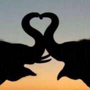 ヒメ日記 2026/04/11 15:33 投稿 麻子 出会い系人妻ネットワーク札幌駅～大通り・すすきの編