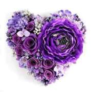 ヒメ日記 2026/04/12 15:19 投稿 麻子 出会い系人妻ネットワーク札幌駅～大通り・すすきの編