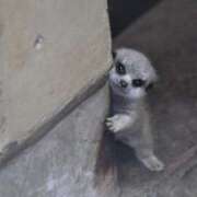 ヒメ日記 2026/04/14 17:34 投稿 麻子 出会い系人妻ネットワーク札幌駅～大通り・すすきの編