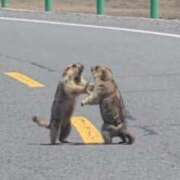 ヒメ日記 2026/04/15 18:12 投稿 麻子 出会い系人妻ネットワーク札幌駅～大通り・すすきの編