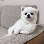 ヒメ日記 2026/04/16 18:13 投稿 麻子 出会い系人妻ネットワーク札幌駅～大通り・すすきの編