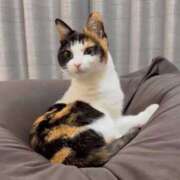 ヒメ日記 2026/04/19 18:19 投稿 麻子 出会い系人妻ネットワーク札幌駅～大通り・すすきの編