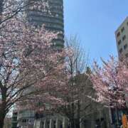 ヒメ日記 2026/04/21 15:49 投稿 麻子 出会い系人妻ネットワーク札幌駅～大通り・すすきの編