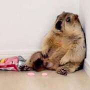 麻子 今日も 出会い系人妻ネットワーク札幌駅～大通り・すすきの編