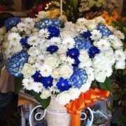 ヒメ日記 2026/04/23 18:19 投稿 麻子 出会い系人妻ネットワーク札幌駅～大通り・すすきの編