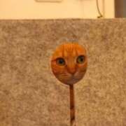 ヒメ日記 2026/04/28 19:20 投稿 麻子 出会い系人妻ネットワーク札幌駅～大通り・すすきの編