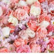 ヒメ日記 2025/03/09 10:43 投稿 千草 出会い系人妻ネットワーク札幌駅～大通り・すすきの編