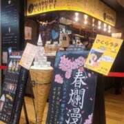 ヒメ日記 2025/03/22 10:46 投稿 千草 出会い系人妻ネットワーク札幌駅～大通り・すすきの編