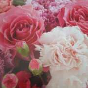 ヒメ日記 2025/02/19 16:49 投稿 十和子 出会い系人妻ネットワーク札幌駅～大通り・すすきの編