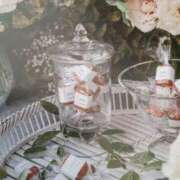 ヒメ日記 2025/04/16 15:40 投稿 十和子 出会い系人妻ネットワーク札幌駅～大通り・すすきの編