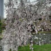 ヒメ日記 2025/05/14 11:38 投稿 十和子 出会い系人妻ネットワーク札幌駅～大通り・すすきの編