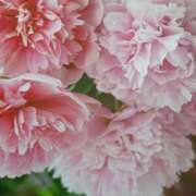 ヒメ日記 2025/06/25 23:18 投稿 十和子 出会い系人妻ネットワーク札幌駅～大通り・すすきの編