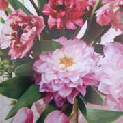 ヒメ日記 2025/07/16 15:51 投稿 十和子 出会い系人妻ネットワーク札幌駅～大通り・すすきの編