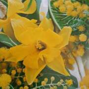 ヒメ日記 2025/07/16 16:06 投稿 十和子 出会い系人妻ネットワーク札幌駅～大通り・すすきの編