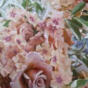 ヒメ日記 2025/08/06 16:52 投稿 十和子 出会い系人妻ネットワーク札幌駅～大通り・すすきの編