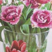 ヒメ日記 2025/08/13 13:57 投稿 十和子 出会い系人妻ネットワーク札幌駅～大通り・すすきの編