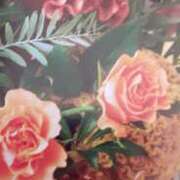 ヒメ日記 2025/10/22 15:48 投稿 十和子 出会い系人妻ネットワーク札幌駅～大通り・すすきの編