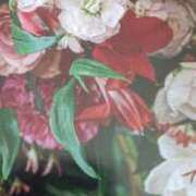 十和子 お礼です 出会い系人妻ネットワーク札幌駅～大通り・すすきの編