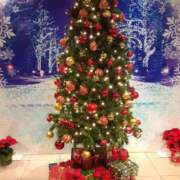 ヒメ日記 2025/12/24 11:48 投稿 十和子 出会い系人妻ネットワーク札幌駅～大通り・すすきの編