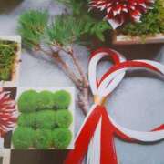 ヒメ日記 2026/01/07 15:19 投稿 十和子 出会い系人妻ネットワーク札幌駅～大通り・すすきの編