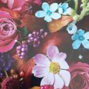 ヒメ日記 2026/02/11 14:57 投稿 十和子 出会い系人妻ネットワーク札幌駅～大通り・すすきの編