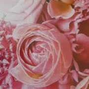 ヒメ日記 2026/04/08 18:34 投稿 十和子 出会い系人妻ネットワーク札幌駅～大通り・すすきの編