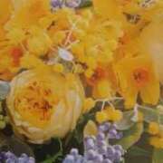 ヒメ日記 2026/04/22 17:12 投稿 十和子 出会い系人妻ネットワーク札幌駅～大通り・すすきの編