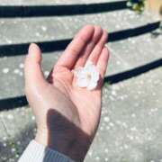 ヒメ日記 2025/04/04 14:48 投稿 みさき あおば睾丸診療所