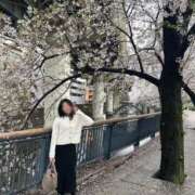 ヒメ日記 2026/04/05 19:16 投稿 みさき あおば睾丸診療所