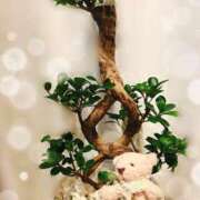 ヒメ日記 2025/01/28 22:08 投稿 ゆかり あおば睾丸診療所