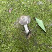 ヒメ日記 2025/07/24 11:46 投稿 ゆかり あおば睾丸診療所