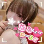 ヒメ日記 2025/08/17 10:56 投稿 なな あおば睾丸診療所