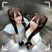 ヒメ日記 2025/10/03 10:46 投稿 なな あおば睾丸診療所