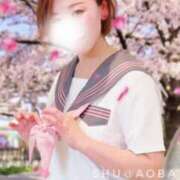 ヒメ日記 2025/04/07 17:28 投稿 しゅう あおば睾丸診療所