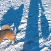 ヒメ日記 2026/01/04 09:56 投稿 しゅう あおば睾丸診療所