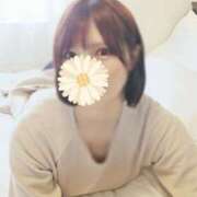 ヒメ日記 2025/04/18 08:28 投稿 ななせ あおば睾丸診療所