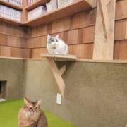 ヒメ日記 2026/03/12 08:26 投稿 ななせ あおば睾丸診療所