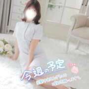 ヒメ日記 2026/03/16 08:26 投稿 ななせ あおば睾丸診療所