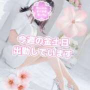 ヒメ日記 2025/03/14 17:28 投稿 美月 あおば睾丸診療所