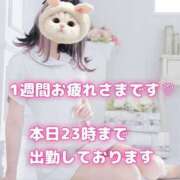 ヒメ日記 2025/05/30 15:46 投稿 美月 あおば睾丸診療所