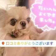 ヒメ日記 2025/05/30 16:06 投稿 美月 あおば睾丸診療所