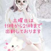 ヒメ日記 2025/06/14 11:36 投稿 美月 あおば睾丸診療所